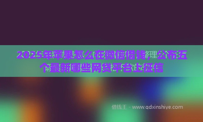 2025年苹果怎么在微信借钱，公布五个最新哪些网贷平台上征信