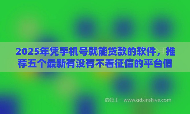 2025年凭手机号就能贷款的软件，推荐五个最新有没有不看征信的平台借钱