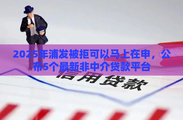 2025年浦发被拒可以马上在申，公布5个最新非中介贷款平台
