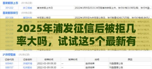 2025年浦发征信后被拒几率大吗，试试这5个最新有什么可以借钱的平台