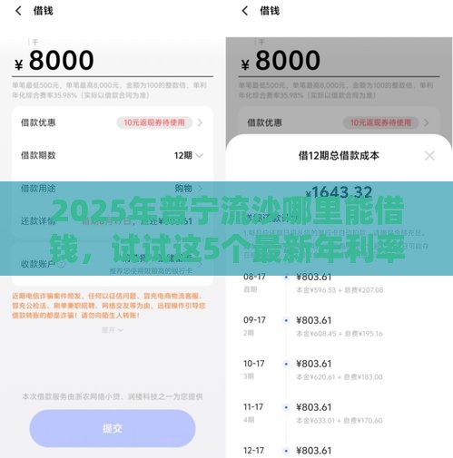 2025年普宁流沙哪里能借钱，试试这5个最新年利率低的网贷平台