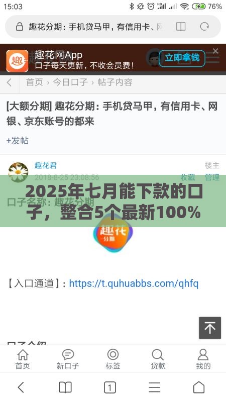 2025年七月能下款的口子，整合5个最新100%可以借钱的平台