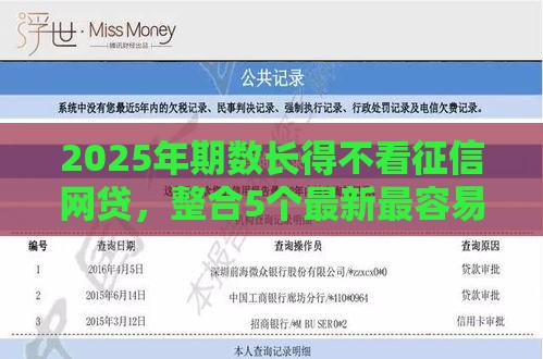 2025年期数长得不看征信网贷，整合5个最新最容易的贷款平台