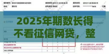 2025年期数长得不看征信网贷，整合5个最新最容易的贷款平台