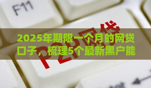 2025年期限一个月的网贷口子，梳理5个最新黑户能下200的小贷口子