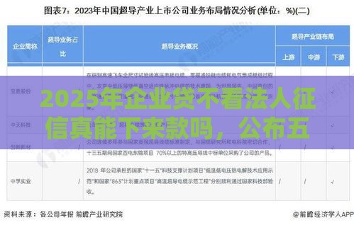2025年企业贷不看法人征信真能下来款吗，公布五个最新十八岁可以借钱的平台