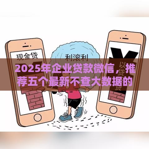2025年企业贷款微信，推荐五个最新不查大数据的网贷口子