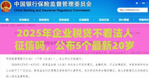 2025年企业税贷不看法人征信吗，公布5个最新20岁贷款平台