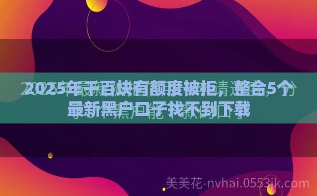 2025年千百块有额度被拒，整合5个最新黑户口子找不到下载