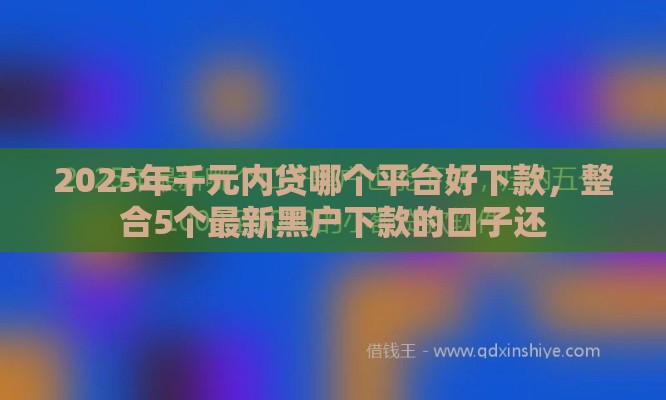 2025年千元内贷哪个平台好下款，整合5个最新黑户下款的口子还