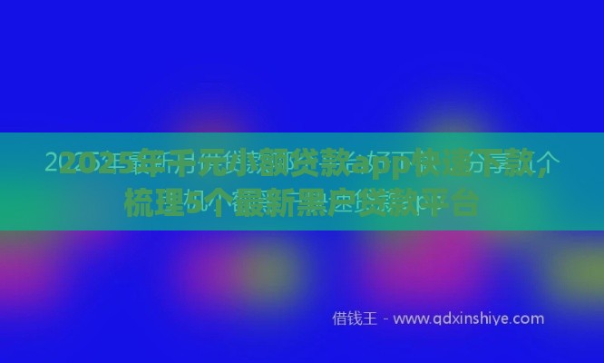 2025年千元小额贷款app快速下款，梳理5个最新黑户贷款平台