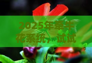 2025年牵牛花系统，试试这五个最新征信不好借钱的平台