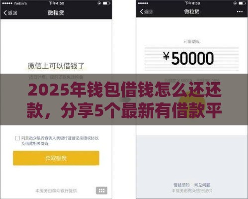 2025年钱包借钱怎么还还款，分享5个最新有借款平台黑户也能借