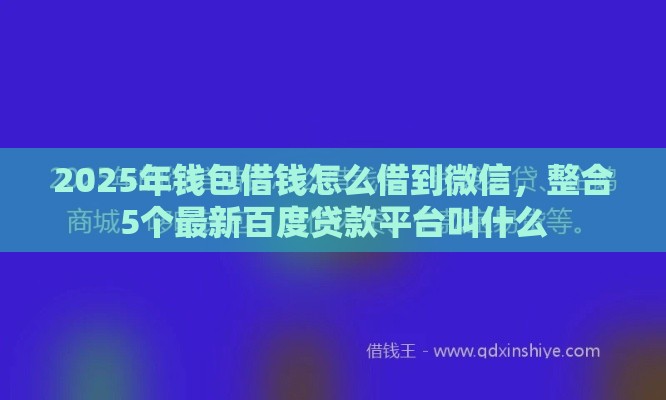 2025年钱包借钱怎么借到微信，整合5个最新百度贷款平台叫什么
