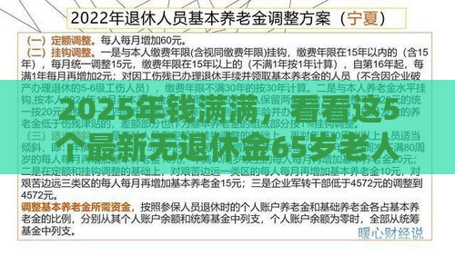 2025年钱满满，看看这5个最新无退休金65岁老人贷款平台