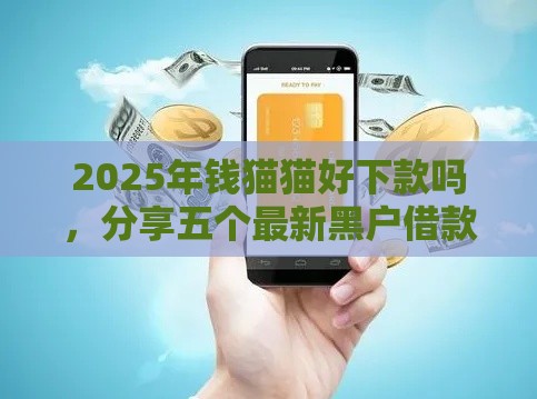 2025年钱猫猫好下款吗，分享五个最新黑户借款必下口子小额贷款