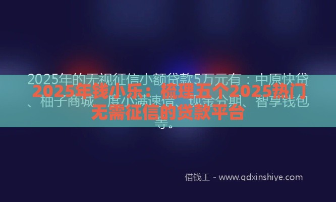 2025年钱小乐：梳理五个2025热门无需征信的贷款平台