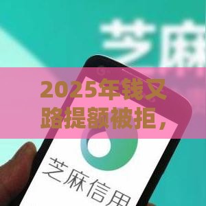 2025年钱又路提额被拒，试试这5个最新2025不查征信大数据百分百下款的平台
