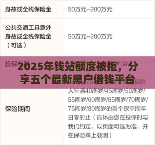 2025年钱站额度被拒，分享五个最新黑户借钱平台