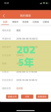 2025年亲亲小贷多少好下款，推荐5个最新征信花必过的平台