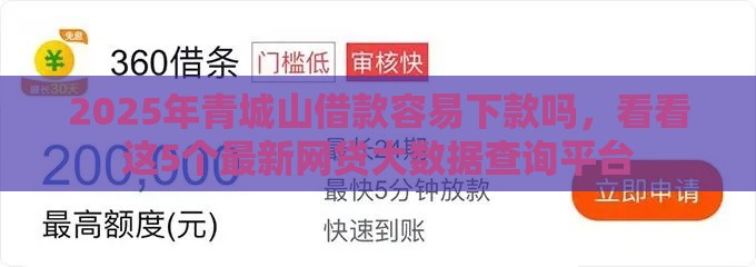 2025年青城山借款容易下款吗，看看这5个最新网贷大数据查询平台