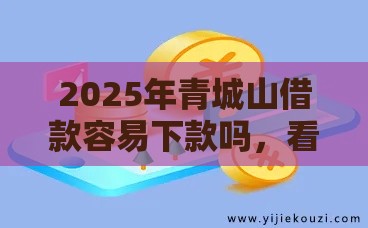 2025年青城山借款容易下款吗，看看这5个最新网贷大数据查询平台