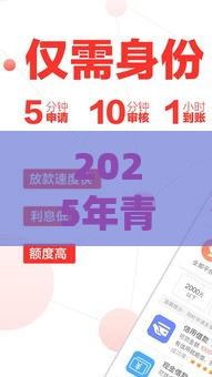 2025年青春白卡好下款吗，梳理5个最新小额贷款平台