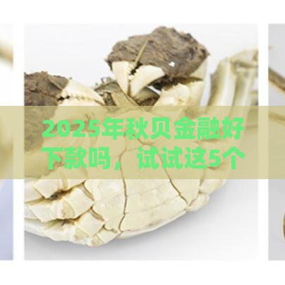 2025年秋贝金融好下款吗，试试这5个最新分期贷款平台