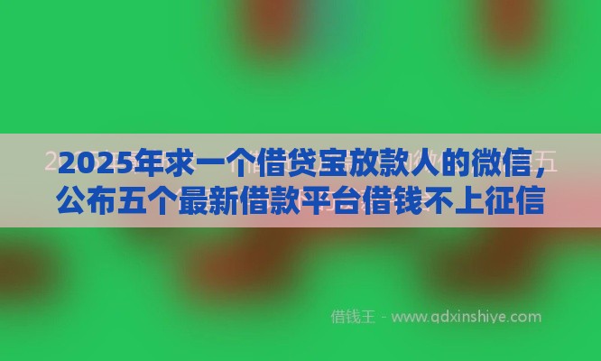 2025年求一个借贷宝放款人的微信，公布五个最新借款平台借钱不上征信