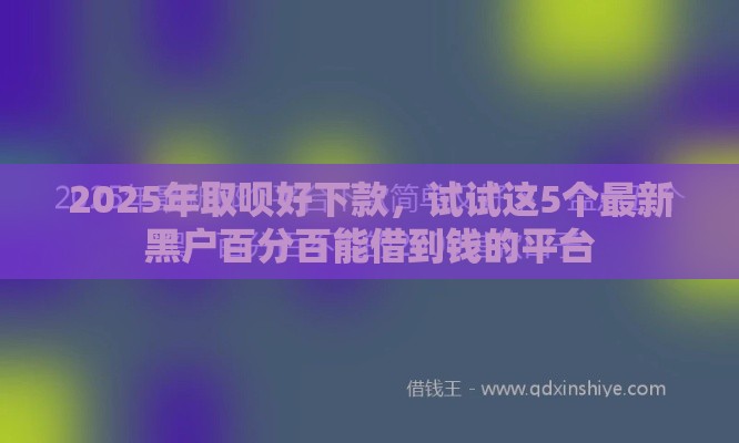 2025年取呗好下款，试试这5个最新黑户百分百能借到钱的平台