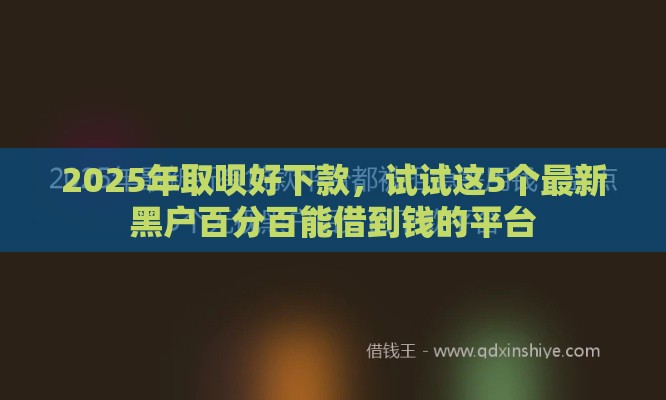 2025年取呗好下款，试试这5个最新黑户百分百能借到钱的平台