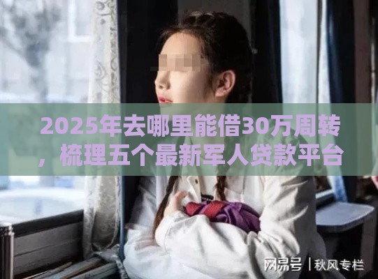 2025年去哪里能借30万周转，梳理五个最新军人贷款平台