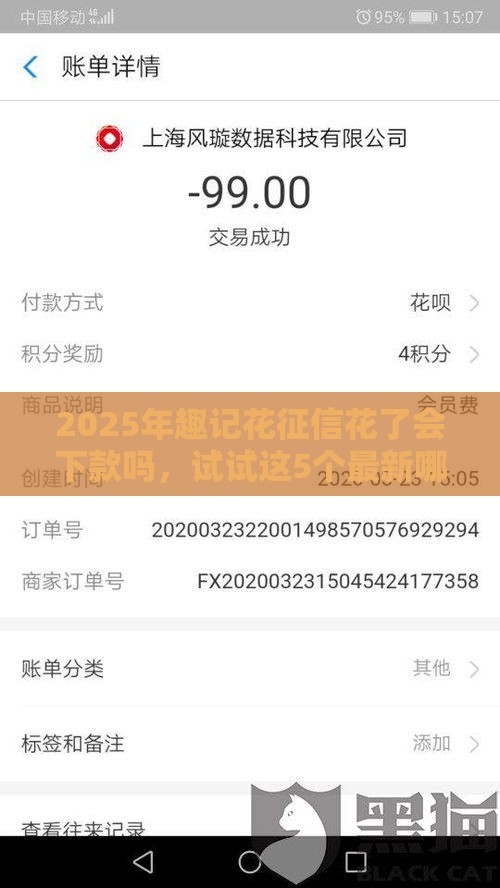 2025年趣记花征信花了会下款吗，试试这5个最新哪家平台黑户可以借钱