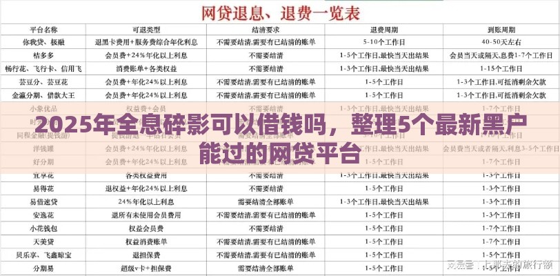 2025年全息碎影可以借钱吗，整理5个最新黑户能过的网贷平台