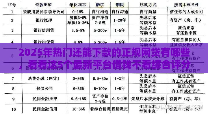 2025年热门还能下款的正规网贷有哪些，看看这5个最新平台借钱不看综合评分