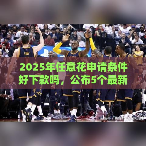 2025年任意花申请条件好下款吗，公布5个最新极优花贷款平台