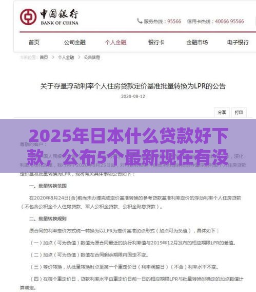 2025年日本什么贷款好下款，公布5个最新现在有没有黑户下款的口子