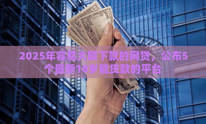 2025年容易大额下款的网贷，公布5个最新18岁能贷款的平台