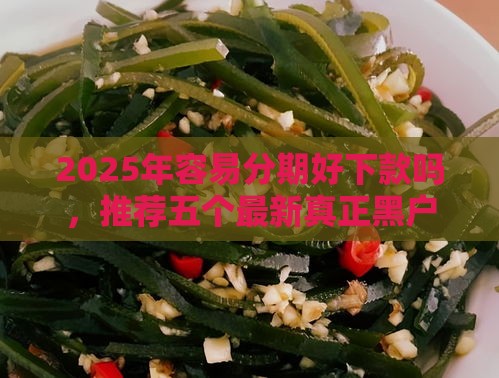 2025年容易分期好下款吗，推荐五个最新真正黑户能下款的网贷平台