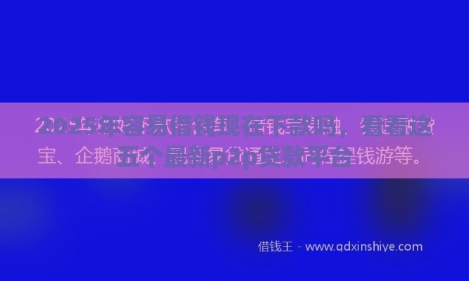2025年容易借钱现在下款吗，看看这五个最新p2p贷款平台