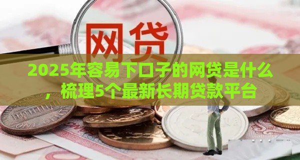 2025年容易下口子的网贷是什么，梳理5个最新长期贷款平台