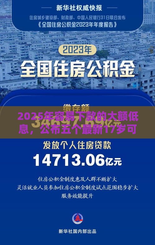 2025年容易下款的大额低息，公布五个最新17岁可以贷款的平台