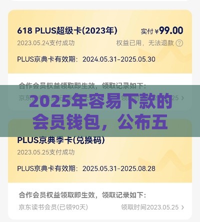 2025年容易下款的会员钱包，公布五个最新2025类似拍脉会的口子
