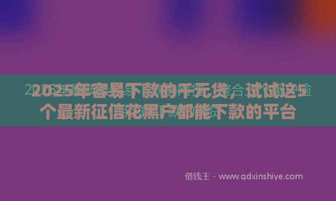 2025年容易下款的千元贷，试试这5个最新征信花黑户都能下款的平台