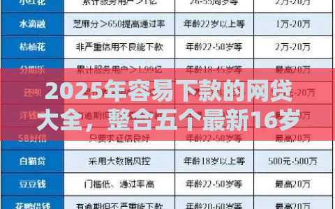 2025年容易下款的网贷大全，整合五个最新16岁贷款平台