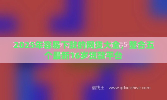 2025年容易下款的网贷大全，整合五个最新16岁贷款平台