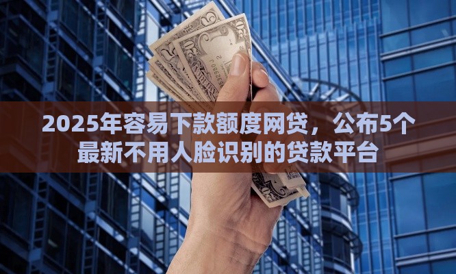 2025年容易下款额度网贷，公布5个最新不用人脸识别的贷款平台