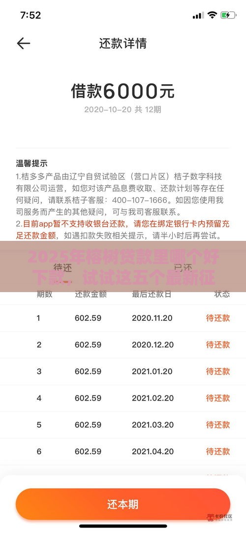 2025年榕树贷款里哪个好下款，试试这五个最新征信花用什么贷款软件