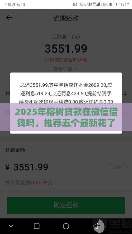 2025年榕树贷款在微信借钱吗，推荐五个最新花了可以贷款的平台