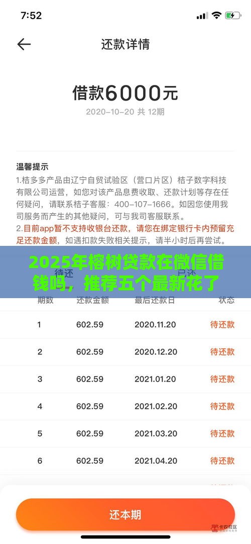 2025年榕树贷款在微信借钱吗，推荐五个最新花了可以贷款的平台